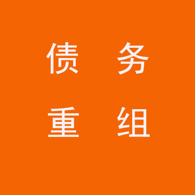 普安个人债务重组优化